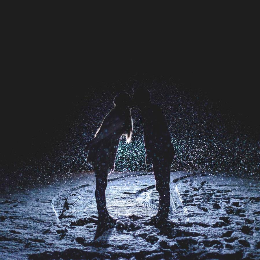 Protector de radiador - imagen 4